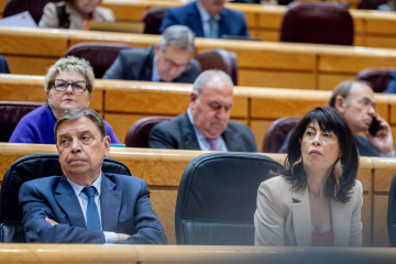 La ministra de Igualdad, Ana Redondo el ministro de Agricultura, Pesca y Alimentación, Luis Planas, durante una sesión de control al Gobierno en el Senado,