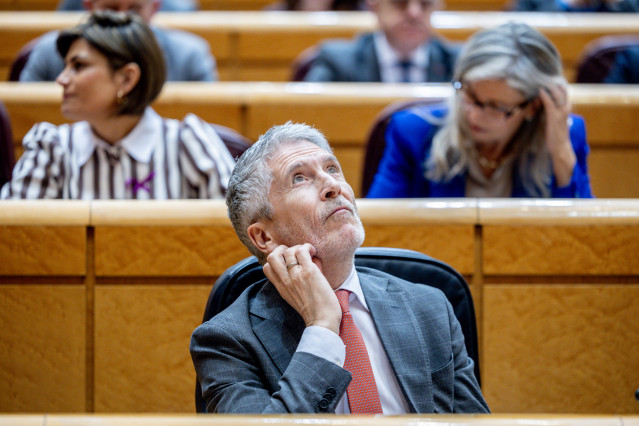 El ministro del Interior, Fernando Grande Marlaska, durante una sesión de control al Gobierno en el Senado