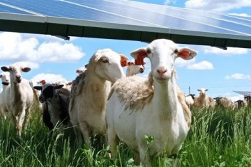 Instalación fotovoltaica