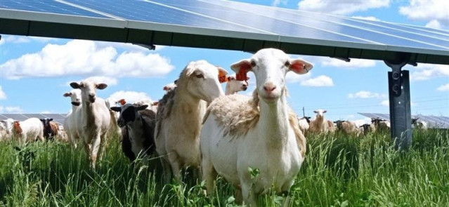 Instalación fotovoltaica