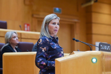 Archivo - La senadora del PSPV, Rocío Briones, interviene durante el pleno del Senado, a 20 de noviembre de 2024, en Madrid (España).