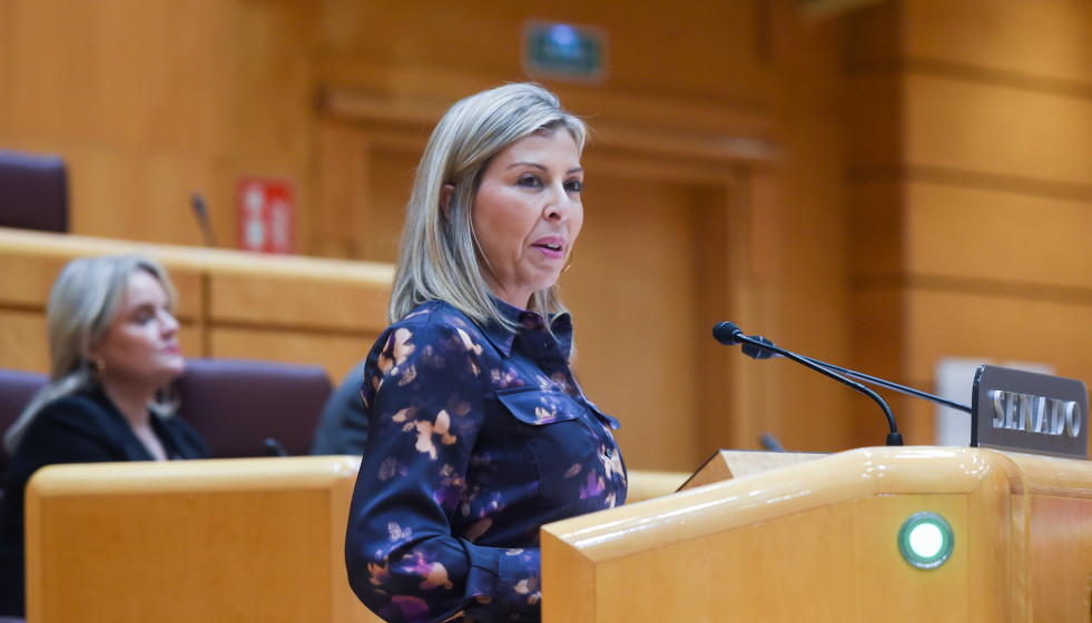 Archivo - La senadora del PSPV, Rocío Briones, interviene durante el pleno del Senado, a 20 de noviembre de 2024, en Madrid (España).