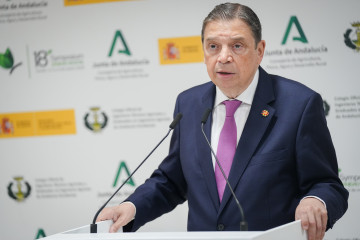 El ministro de Agricultura, Pesca y Alimentación, Luis Planas, atiende a los medios antes de intervenir en la inauguración del 18º Symposium Sanidad Vegetal, que tiene lugar en Sevilla. A 4 de marz