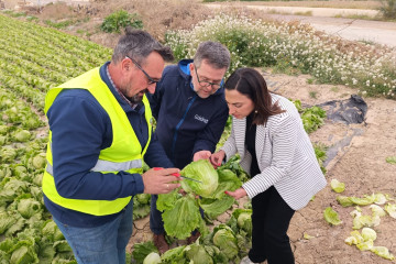 Imagen de la consejera de Agua, Agricultura, Ganadería y Pesca, Sara Rubira, junto a agricultores, durante su visita a los cultivos más afectados de plagas en Lorca