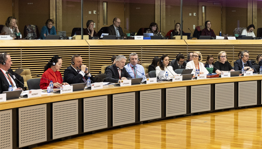 El ministro del Interior, Fernando Grande-Marlaska, durante el Foro de Internet de la Unión Europea.