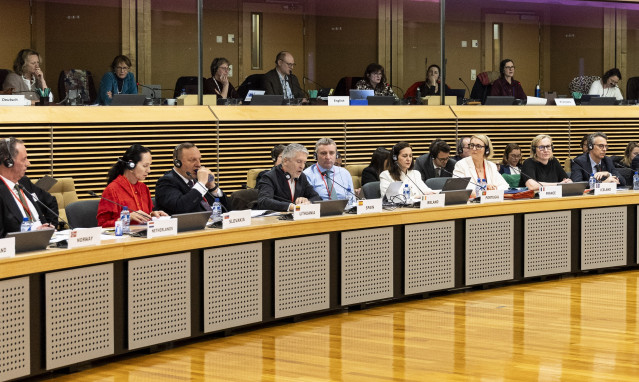 El ministro del Interior, Fernando Grande-Marlaska, durante el Foro de Internet de la Unión Europea.