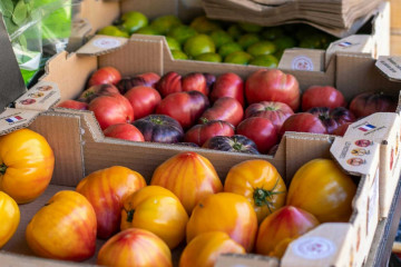 Archivo - Frutas y verduras.