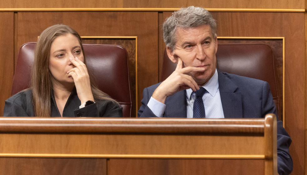 Archivo - El presidente del PP, Alberto Núñez Feijóo, y la portavoz del PP en el Congreso, Ester Muñoz, durante una sesión plenaria extraordinaria, en el Congreso de los Diputados, a 15 de enero 