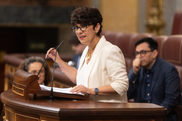 Archivo - La portavoz del PNV en el Congreso, Maribel Vaquero