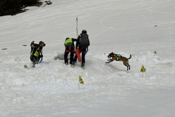 Equipo de rescate del GREIM con un perro adiestrado realizando un simulacro de rescate de un montañero enterrado por un alud simulado en Llanos del Hospital.