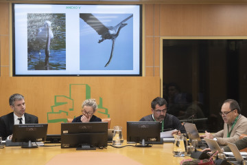 Comparecencia de la Asociación de Anguleros ante la Comisión de Pesca