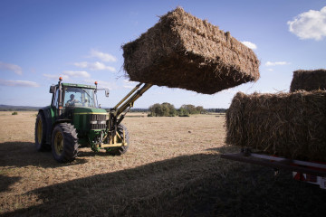 Archivo - Un tractor durante la recogida de trigo en la parroquia de Calvo, a 31 de julio de 2023, en Abadin, Lugo, Galicia (España). El sector ganadero prevé un aumento de los costes de piensos y f