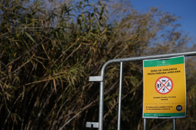 Archivo - Vallas para cortar el paso de los agents rurals de los Mossos d'Esquadra en las zonas restringidas por la cuarentena ante la peste porcina africana, a 5 de diciembre de 2025, en Barberà del Vallès, Barcelona, Cataluña (España).