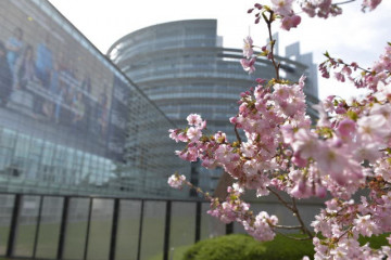 Archivo - Sede del Parlamento Europeo en Estrasburgo.