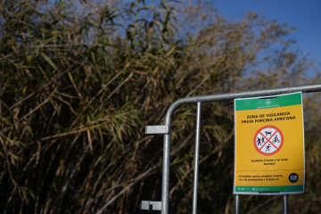 Archivo - Vallas para cortar el paso de los agents rurals de los Mossos d'Esquadra en las zonas restringidas por la cuarentena ante la peste porcina africana, a 5 de diciembre de 2025, en Barberà del