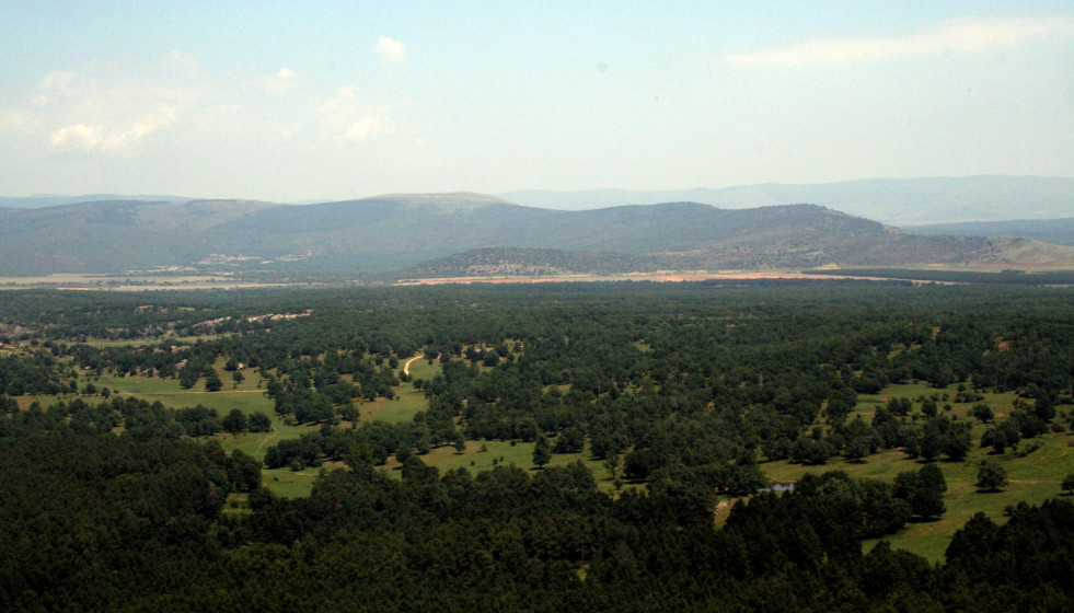 Archivo - Monte de Valonsadero (Soria).