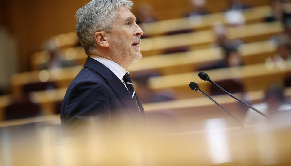 El ministro de Interior, Fernando Grande-Marlaska, interviene durante una sesión plenaria