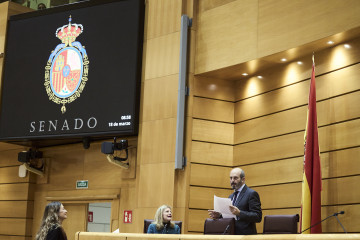 El presidente del Senado, Pedro Rollán, durante una sesión plenaria, en el Senado, a 18 de marzo de 2026, en Madrid (España).