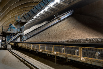 Archivo - Un parque prehomo en una planta cementera