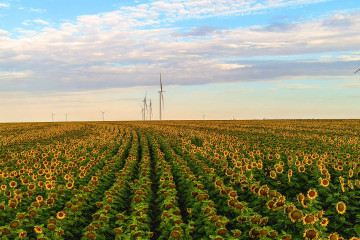 Energías renovables de Amazon