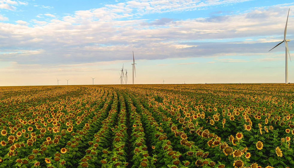 Energías renovables de Amazon