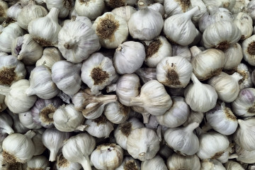 Archivo - Ajo, ajos de Las Pedroñeras.