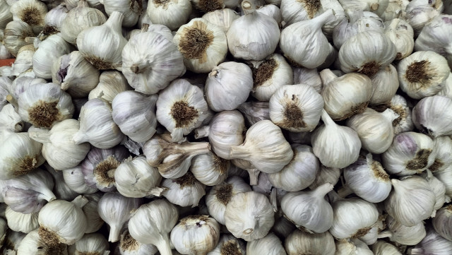 Archivo - Ajo, ajos de Las Pedroñeras.