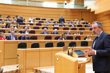 Archivo - El portavoz del PSOE en el Senado, Juan Espadas, durante un pleno en el Senado, a 9 de abril de 2025, en Madrid (España).