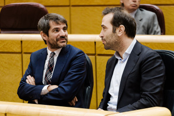Archivo - El ministro de Cultura, Ernest Urtasun (i) y el ministro de Economía, Comercio y Empresa, Carlos Cuerpo (d), durante una sesión plenaria en el Senado, a 25 de noviembre de 2025, en Madrid 