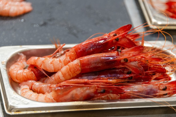 Archivo - El Ministerio de Pesca establece 