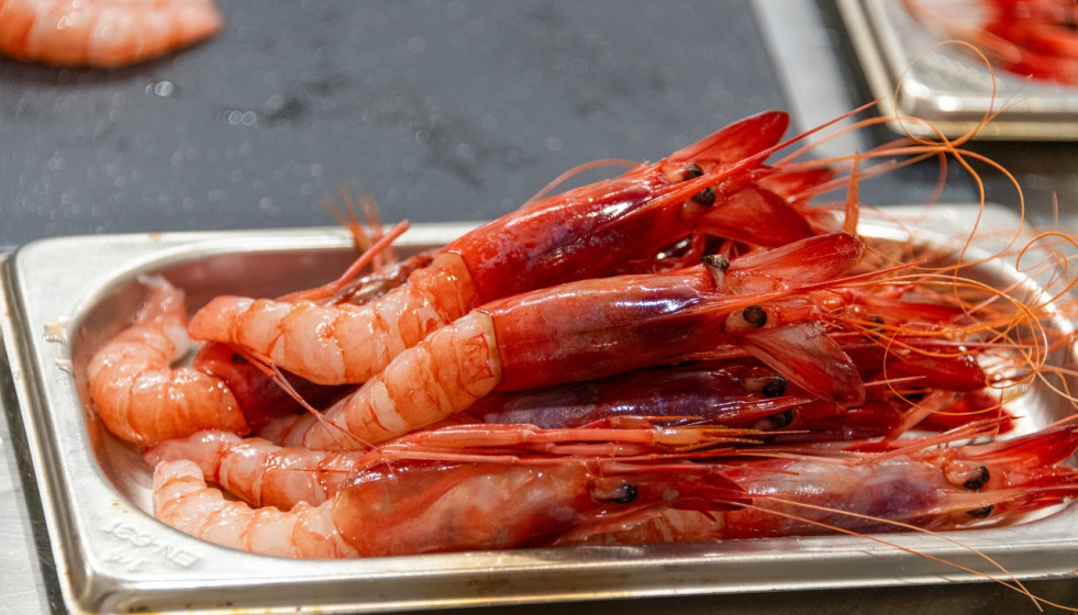 Archivo - El Ministerio de Pesca establece 