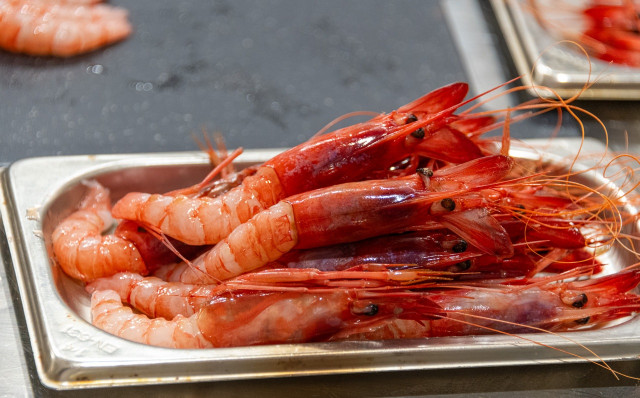 Archivo - El Ministerio de Pesca establece 