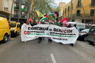 Manifestación de Ciutadans per Palestina para exigir el fin del 