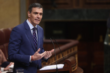 El presidente del Gobierno, Pedro Sánchez, durante una sesión de control al Gobierno, en el Congreso.