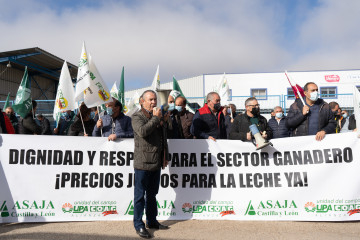 Archivo - Imagen de archivo del presidente de Asaja de Castilla y León, Donaciano Dujo, interviene con un megáfono durante una concentración para reclamar un precio justo de la leche.