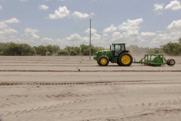 Archivo - Un tractor prepara un campo de fresas fuera de temporada.