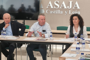 Donaciano Dujo (c), durante la Junta Directiva de Asaja CyL.