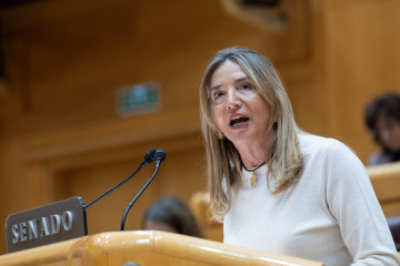 Archivo - La portavoz del PP en el Senado, Alicia García, interviene durante una sesión de control al Gobierno, en el Senado, a 16 de diciembre de 2025, en Madrid (España).
