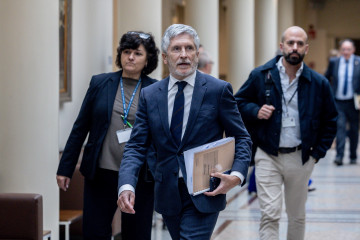 El ministro del Interior, Fernando Grande-Marlaska (c), a su llegada a una sesión de control al Gobierno, en el Senado
