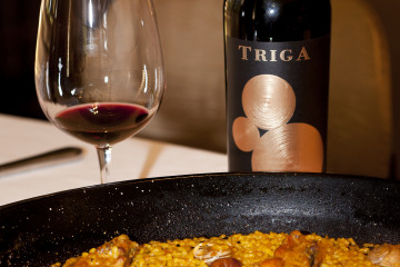 Archivo - Vinos de Rafa Cañizares Viticultor