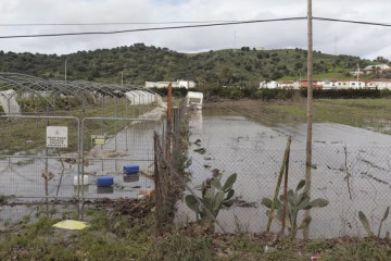 Campo afectado por el temporal