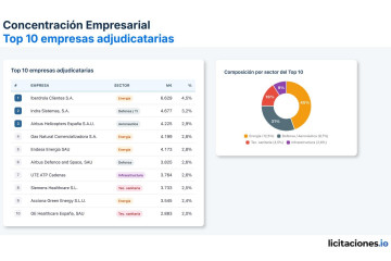 Concentración empresarial, top 10 empresas ajudicatarias
