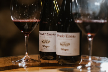Archivo - Prado Enea de Bodegas Muga