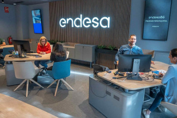 Punto Endesa