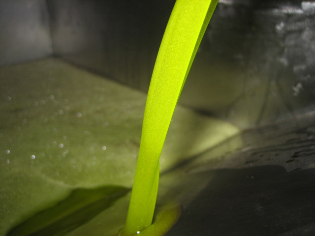 Archivo - Aceite de oliva en almazara