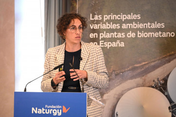 El desarrollo del biometano en España exige 