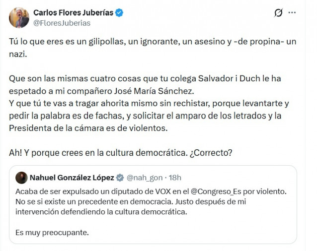 Mensaje del diputado Carlos Flores (Vox) llamando 