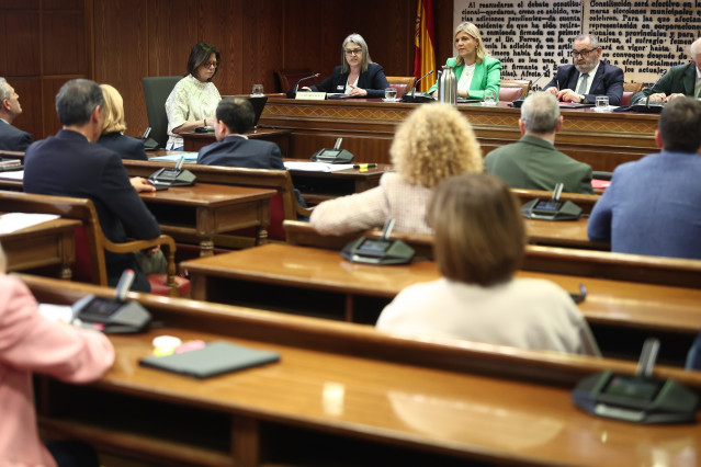 La exsocia trabajadora de Noran Cooperativa Pequeña y presunta beneficiaria de fondos y cuentas de la mercantil Servinabar 2000, Francisca Muñoz Cano,comparece ante la Comisión de Investigación del ‘caso Koldo’, en el Senado.