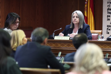 Francisca Muñoz Cano,esposa de Santos Cerdán, ante la Comisión de Investigación del ‘caso Koldo’, en el Senado