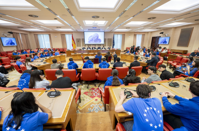 Estudiantes durante una simulación del modelo Parlamento Europeo en el Congreso de los Diputados.